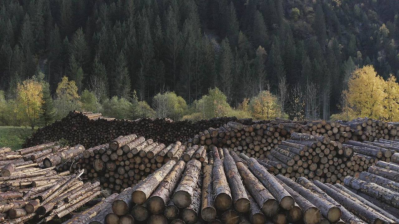ART La sostenibilita comincia dal legno Mostra CAMBIO Lavorazione del legno in Val di Fiemme Photo courtesy Formafantasma Easy Resize com