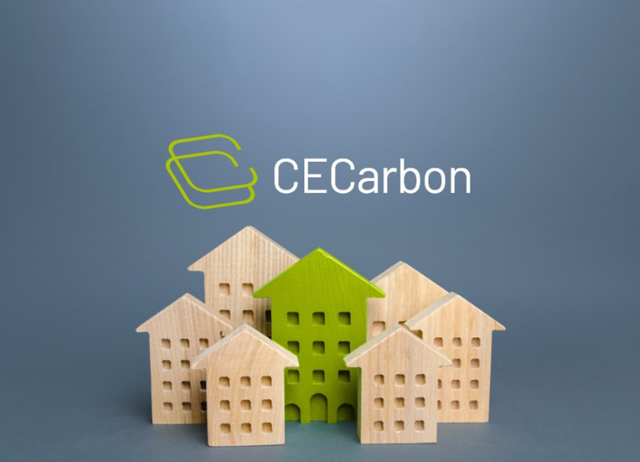 CE Carbon Easy Resize com