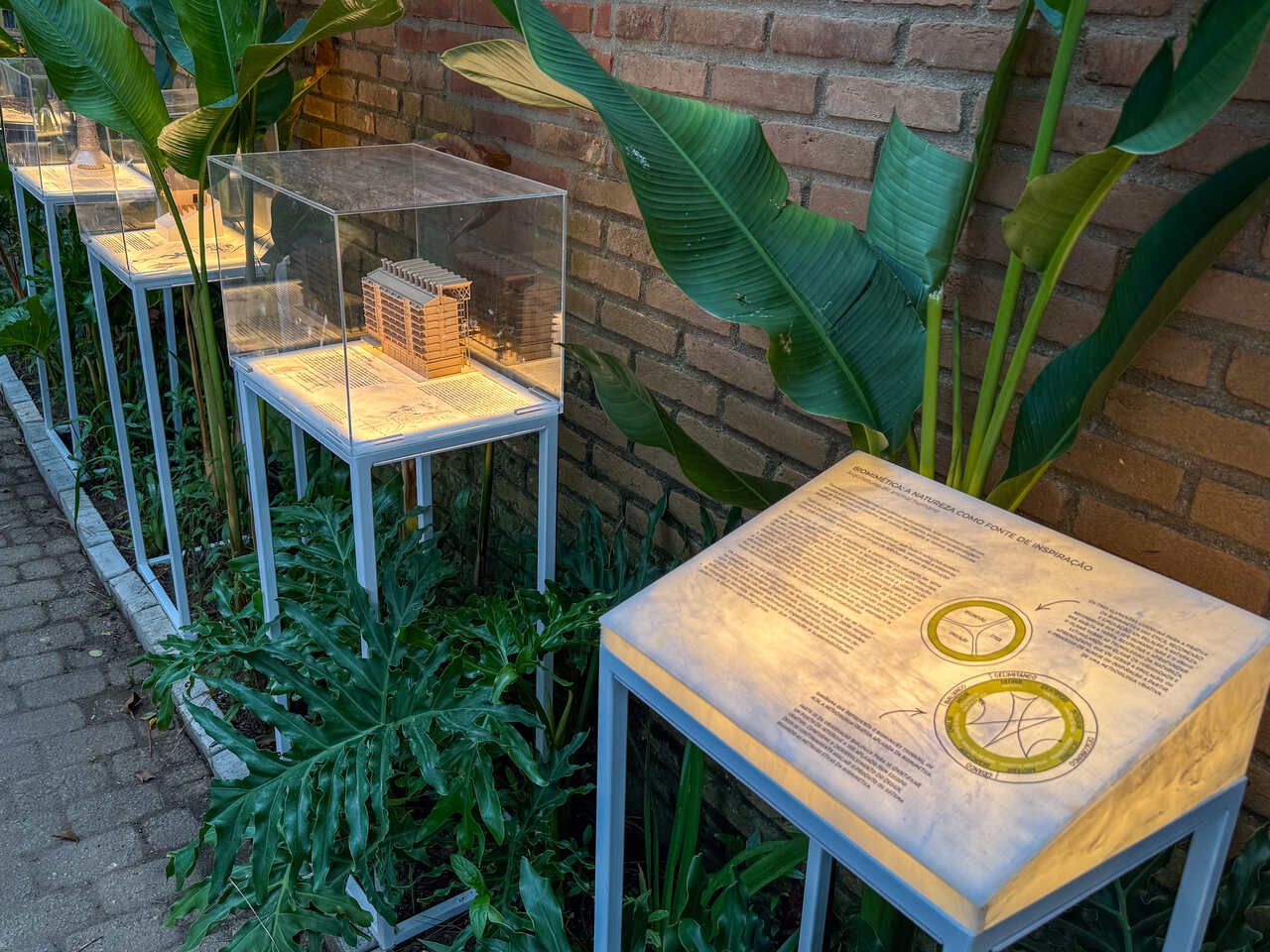 Atelier Marko Brajovic NINHO Expografia Animais Arquitetos Easy Resize com