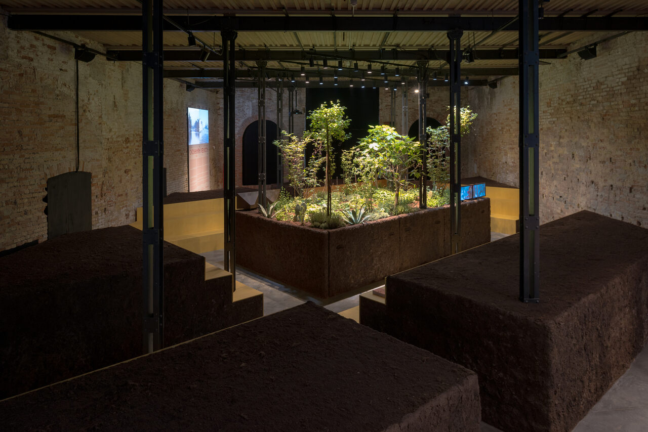 the mexican pavilion at the venice architecture biennale explores the ecological potential of ancestral agricultural systems Easy Resize com