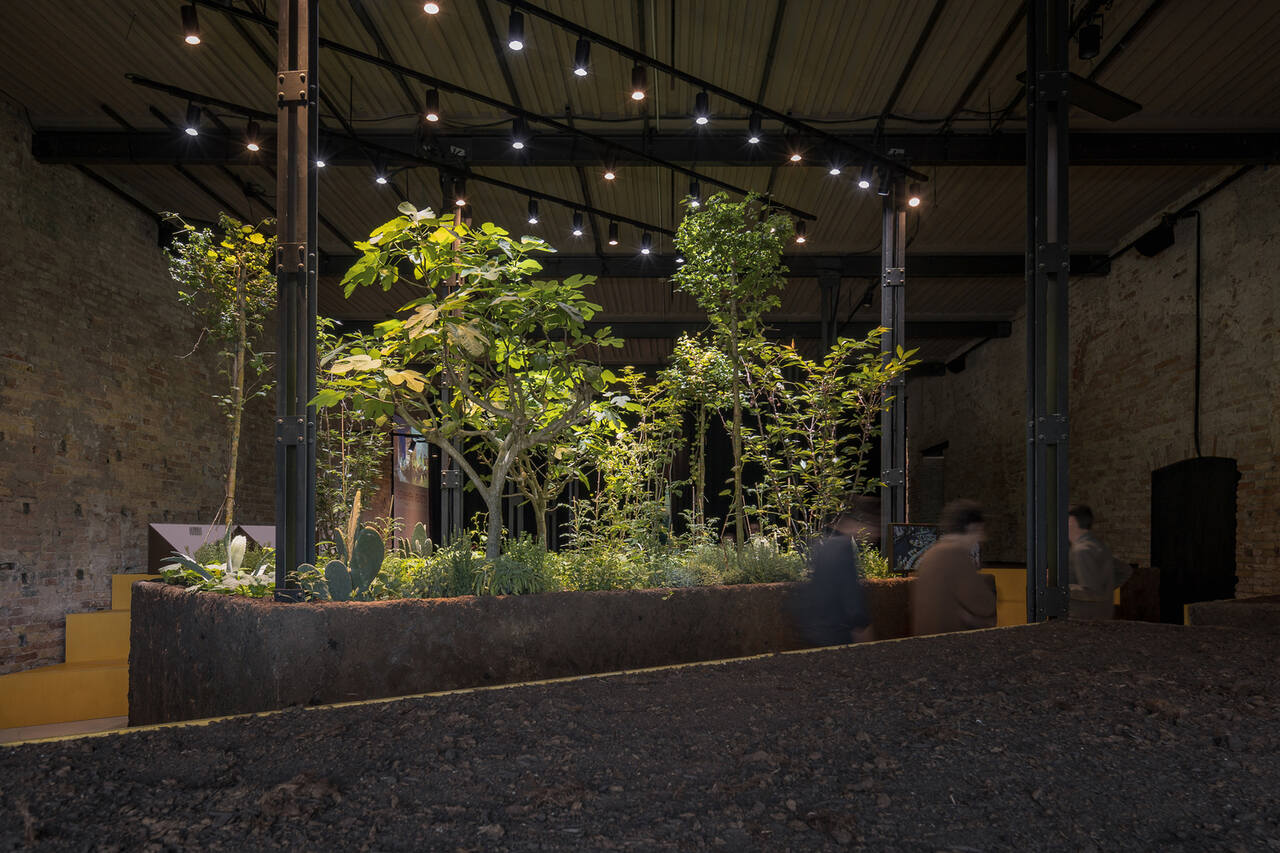 the mexican pavilion at the venice architecture biennale explores the ecological potential of ancestral agricultural systems () Easy Resize com