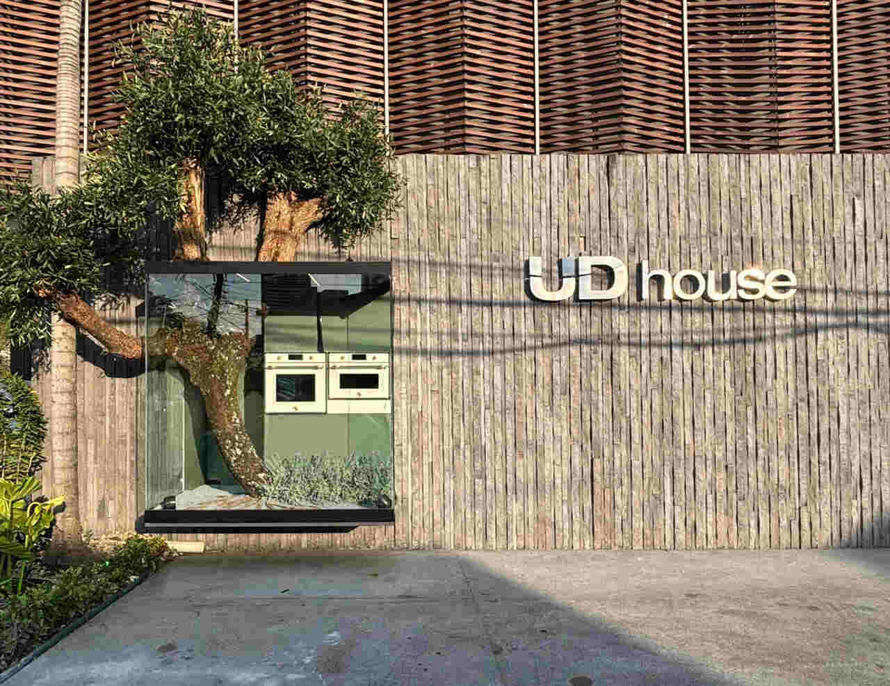 unnamed T Easy Resize com ()