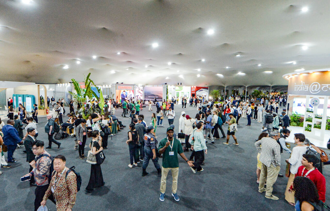 add k Easy Resize com