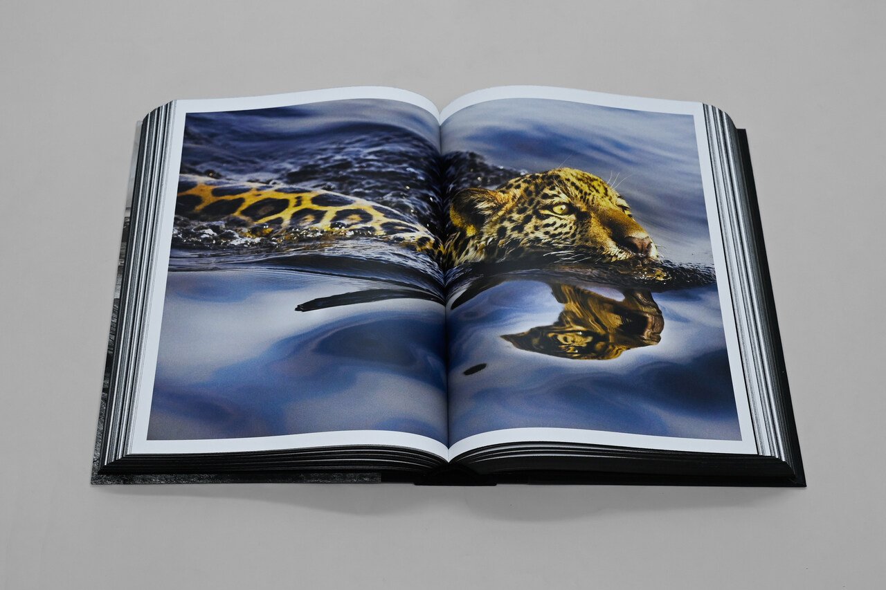 Araquém Alcântara anos de fotografia () Easy Resize com Araquém Alcântara anos de fotografia () Easy Resize com