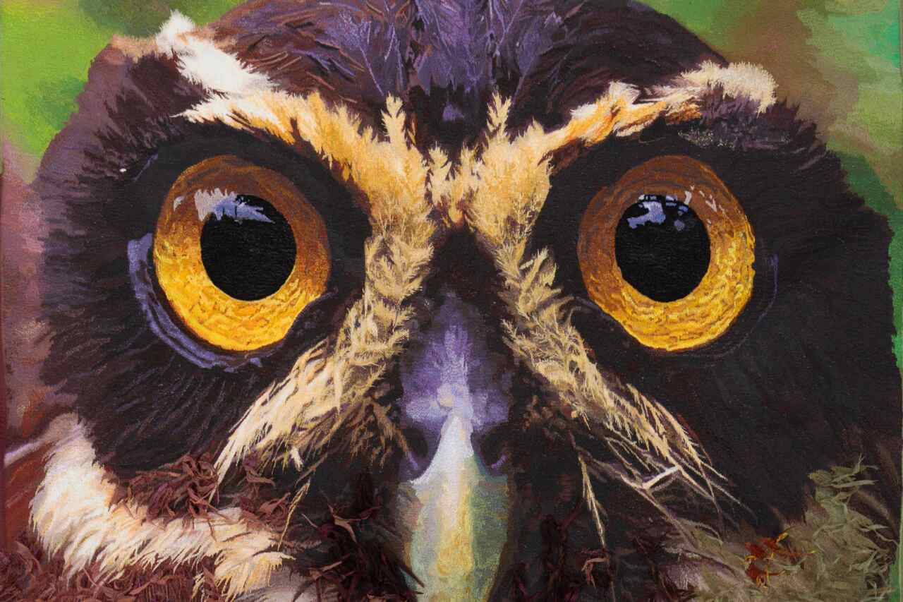 Imagens SITE T Easy Resize com