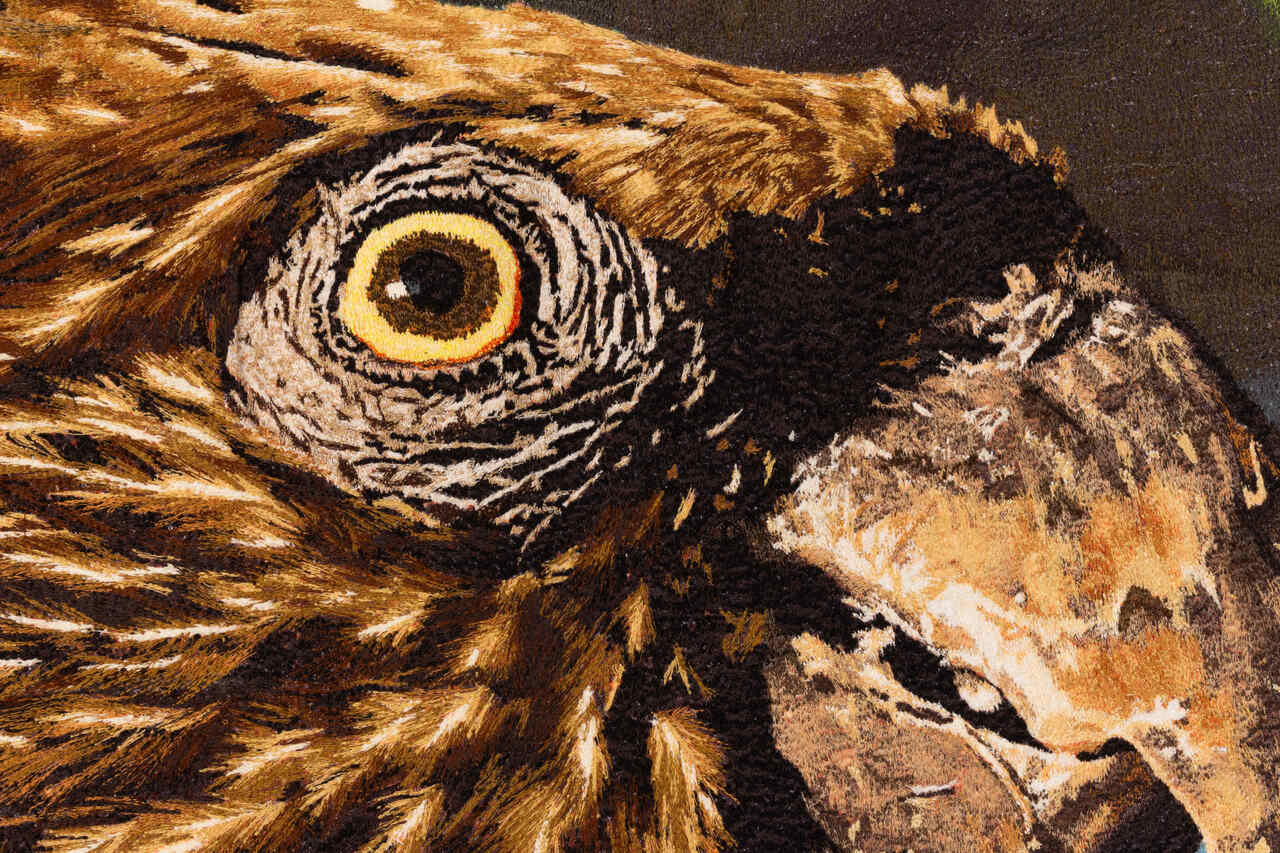 TAPECARIA PAPAGAIO ANACA X K DETALHE alta Easy Resize com TAPECARIA PAPAGAIO ANACA X K DETALHE alta Easy Resize com