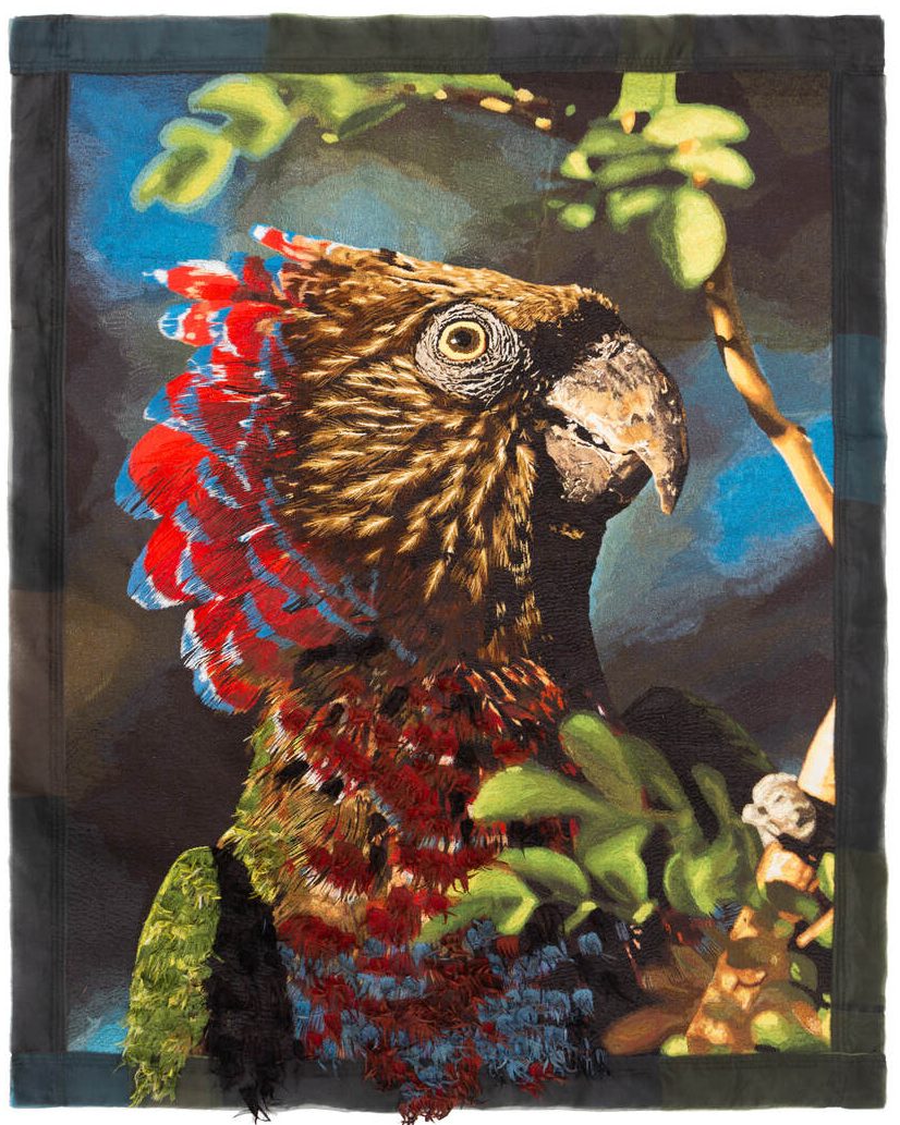 TAPECARIA PAPAGAIO ANACA X K alta Easy Resize com TAPECARIA PAPAGAIO ANACA X K alta Easy Resize com