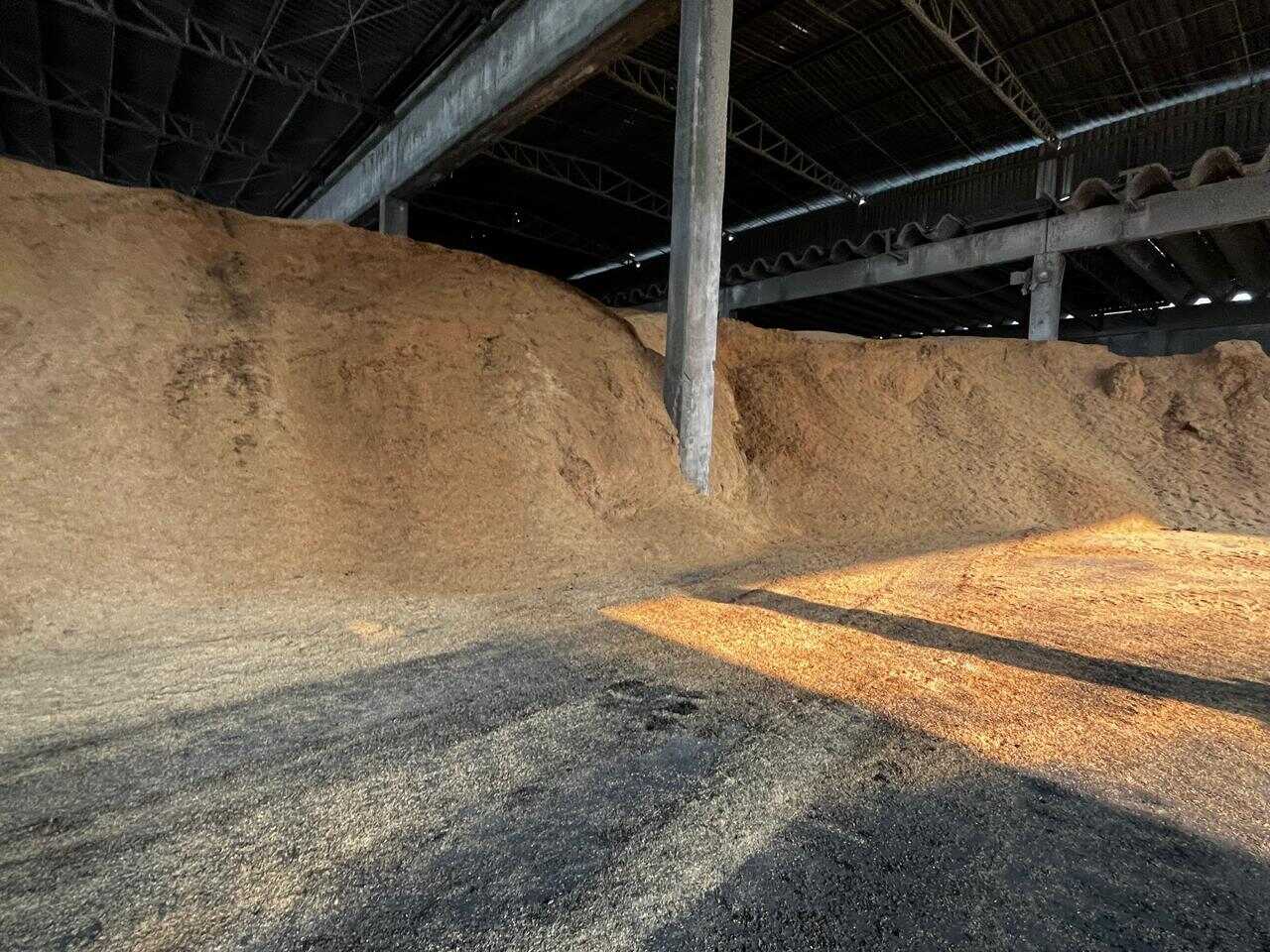 Casca de Arroz CAN jpg Easy Resize com Casca de Arroz CAN jpg Easy Resize com