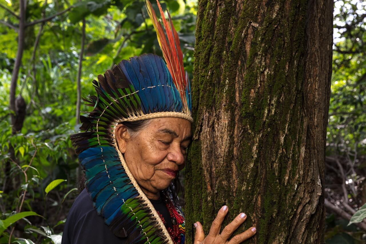 Imagens SITE T Easy Resize com