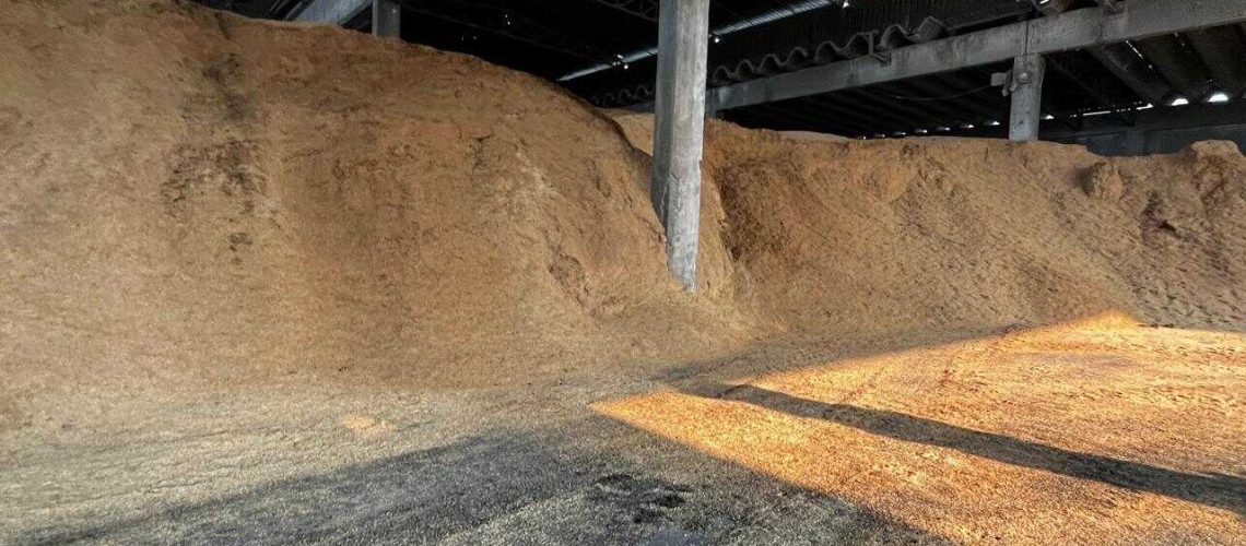 Casca de Arroz CAN jpg Easy Resize com