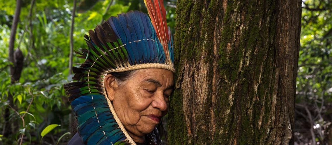 Imagens SITE T Easy Resize com